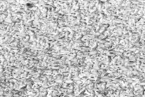 heel veel kanoeten boven de Waddenzee, opgeschrikt door een slechtvalk - Werk aan de muur