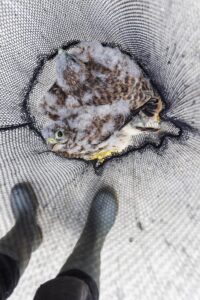 fotowedstrijd Lowland Photo Contest 2022 winnaar categorie mens en natuur