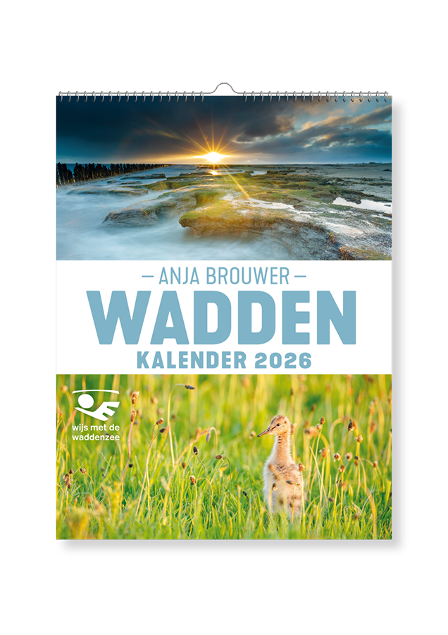 Wadden Kalender 2026 Anja Brouwer